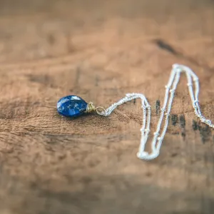 Celebrate Life: Lapis Lazuli Necklace