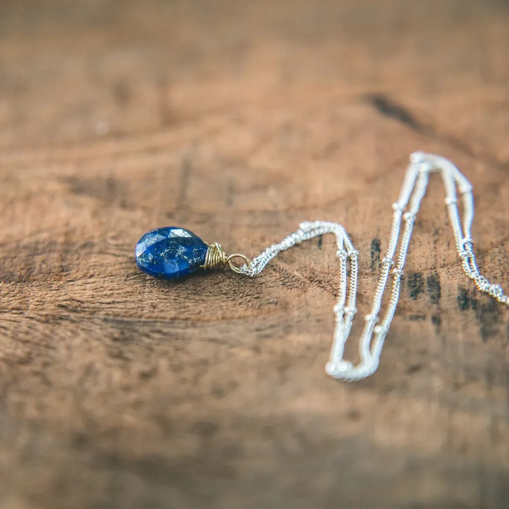 Celebrate Life: Lapis Lazuli Necklace