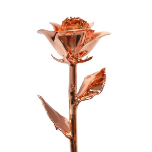 Classic Rose Gold Dipped Rose