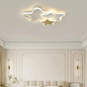 QIYI Fluifust Modern LED Ceiling Home Decor Luster Fixture Dimmable