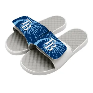 Tampa Bay Rays Slides